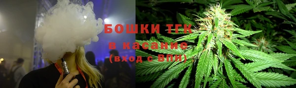 MESCALINE Аркадак