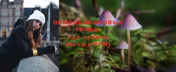 мескалин Арсеньев
