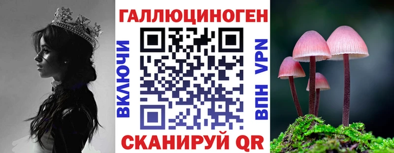 цена наркотик Могоча Псилоцибиновые грибы Psilocybe